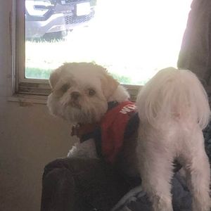 Meet your Posher, Tammy